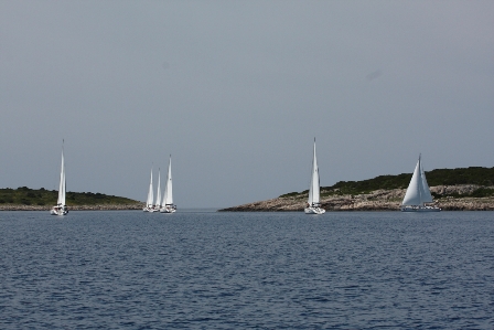 regata2012